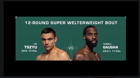 Tim Tszyu Vs Terrell Gausha Live Boxing Commentary Youtube