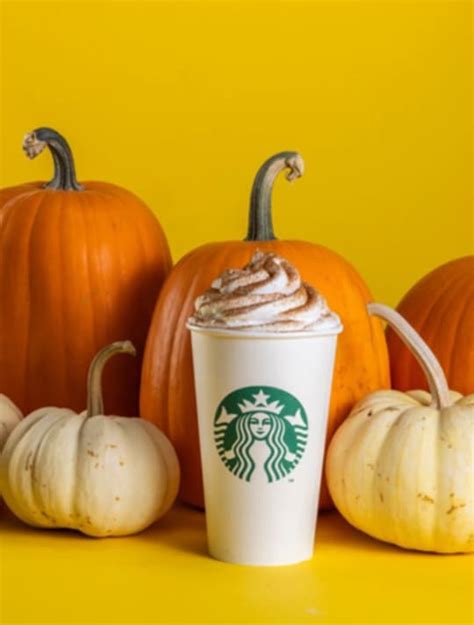 ¡descubre Los 10 Secretos Del Pumpkin Spice Latte De Starbucks