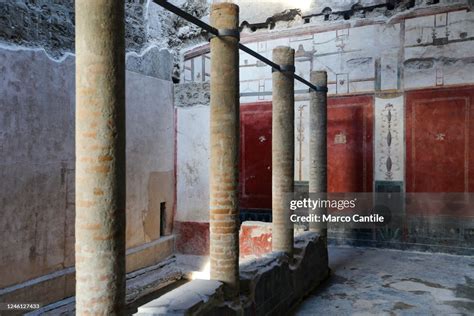 Frescoes in the house of the Vettii, in the archaeological... News ...