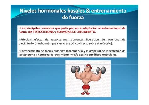 Cambios Hormonales Durante El Ejercicio