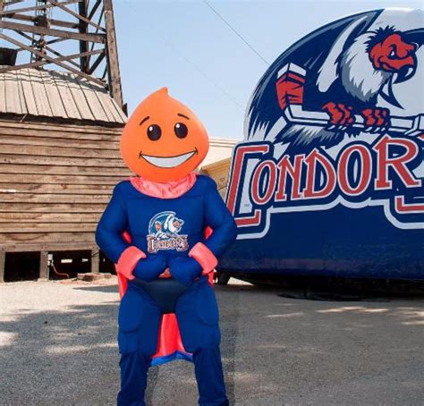 BakersfieldCondors.com | Vote Now: Final Eight names for new mascot