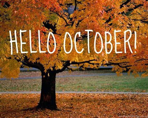[100+] Hello October Wallpapers | Wallpapers.com