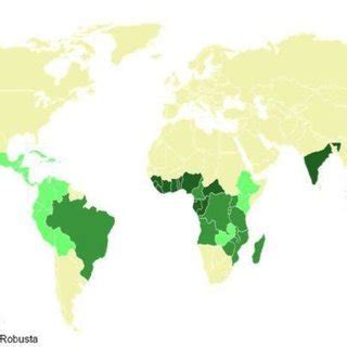 Distribuci N Geogr Fica De La Producci N Mundial De Caf Amecafe