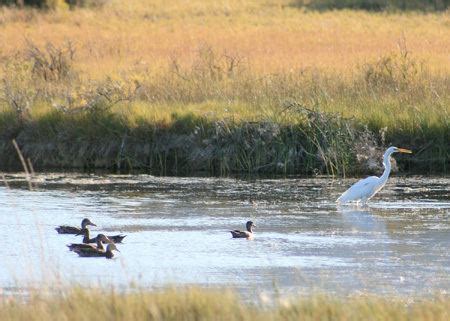 Summer Lake Wildlife Area - Alchetron, the free social encyclopedia