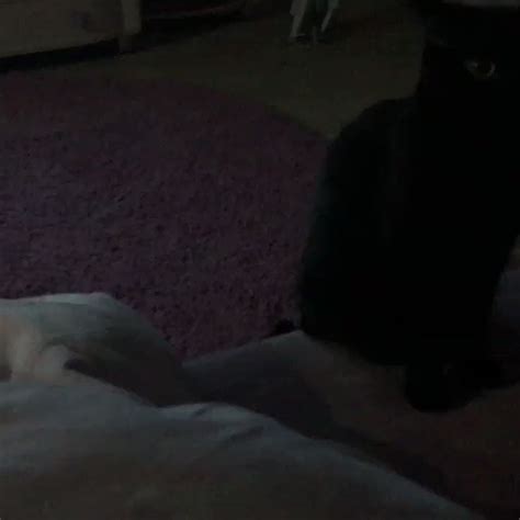 Gina Gerson Aka Doris Ivy S Is A Porn Model Video Photos And Biography