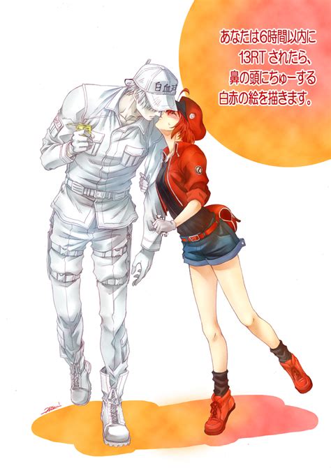 White Blood Cell Red Blood Cell Ae And U Hataraku Saibou