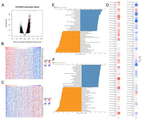 Integrative Bioinformatics And Experimental Analysis Revealed Down