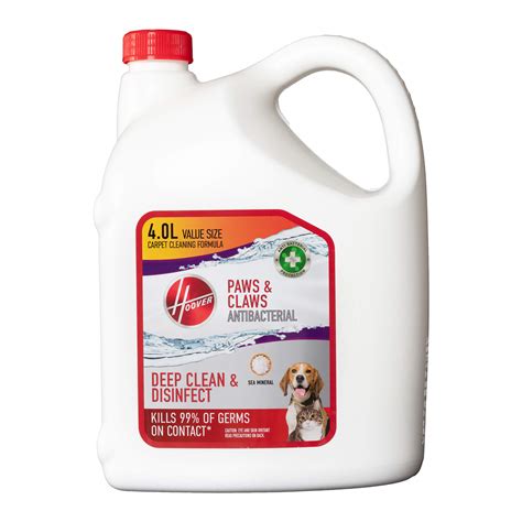 Hoover Smartwash Essentials Automatic Carpet Cleaner Hoover