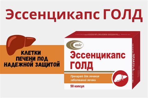 Эссенцикапс Голд снова в продаже!