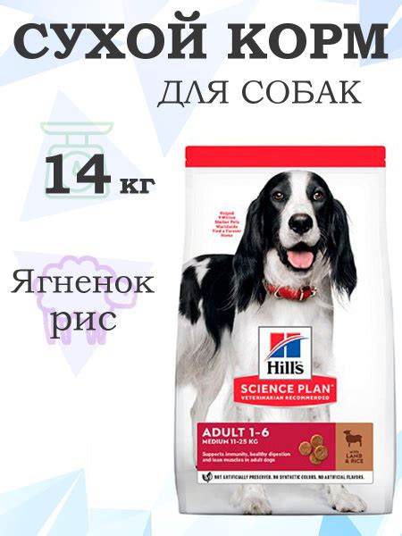 Hills Science Plan Adult 1-6 Medium Lamb & Rice 604357 / Сухой корм ...