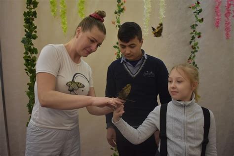 Бабочки мира - Социальное обслуживание населения: новации, эксперименты ...
