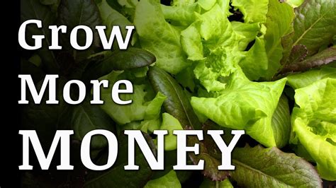 The Most Expensive Vegetable You Should Be Growing Youtube