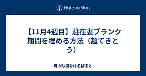 【11月4週目】駐在妻ブランク期間を埋める方法（超てきとう） 月の砂漠をはるばると