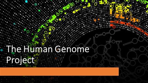 human genome project youtube