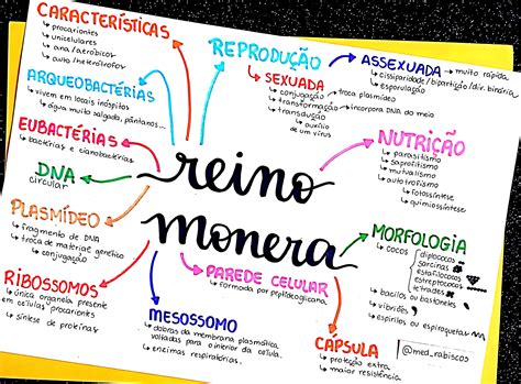 Mapa Mental Reino Monera - MAPA MENTAL SOBRE REINO MONERA - Maps4Study