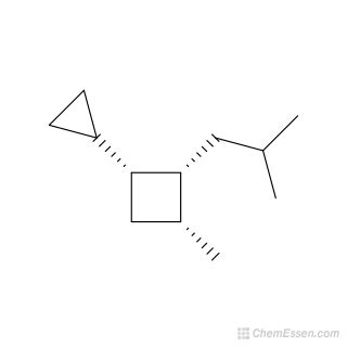 1R 2R 3R 1 Cyclopropyl 3 Methyl 2 2 Methylpropyl Cyclobutane