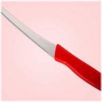 Buy Fackelmann Nirosta Nirosta Tomato Knife S S Cm Online At Best