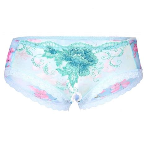 Men Sissy Gay Lingerie Underwear Floral Embroidery Sheer Mesh Briefs Thong Low Rise Lace Trim