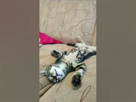 Тимофейка - YouTube