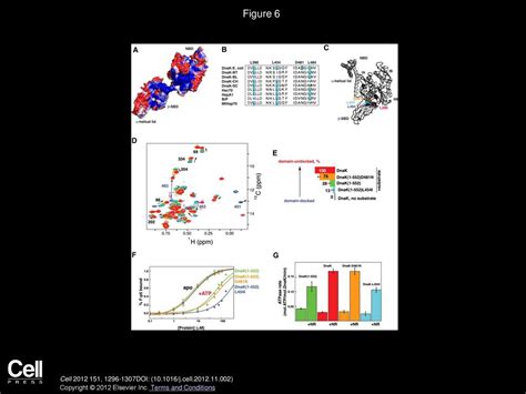 An Interdomain Energetic Tug Of War Creates The Allosterically Active