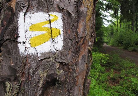 Goldsteig Im Bayerischen Wald AbenteuerWege Reisen