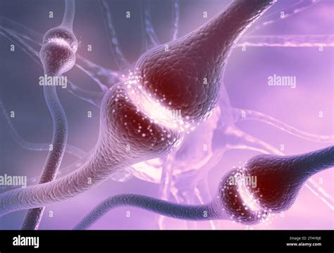 neuron cells sending electrical chemical signals  illustration stock