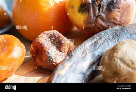 rotten fruit   bamboo board  close   citrus fruit spoiled
