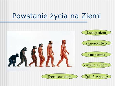 PPT Powstanie życia na Ziemi PowerPoint Presentation free download