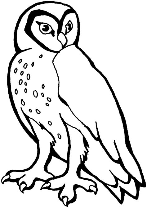 Printable Owl Coloring Pages