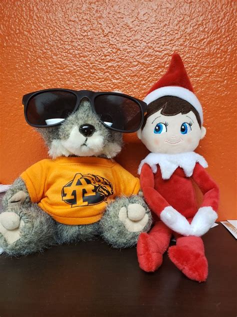 Elfie Found A Apache Trail High School Wolfpack