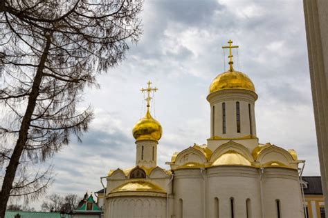 60+ Sergei Witte Photos Stock Photos, Pictures & Royalty-Free Images ...