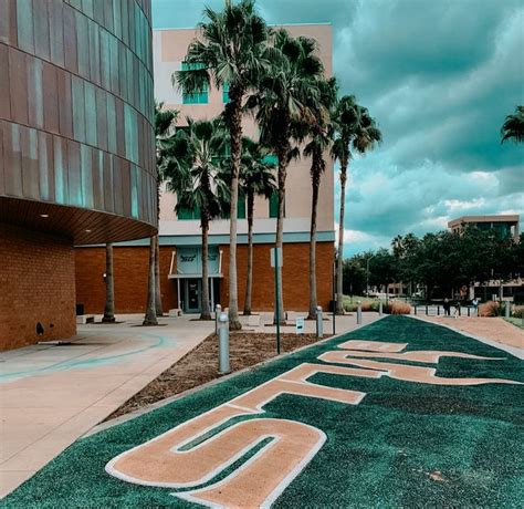 Usf University Of South Florida University Of South Florida