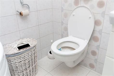 Different Types of Toilet Seats: From Shape to Material and Beyond ...