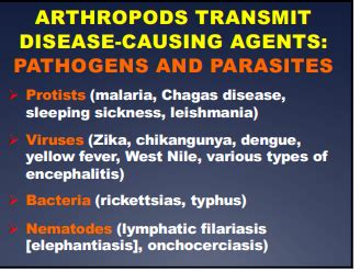 Epidemiology Of Vector Borne Diseases Flashcards Quizlet