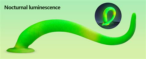 Amazon Long Dildo Anal Tentacle Dildo Huge Monster Dildo Butt Plug Anal Plug For G