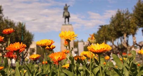 Empez La Primavera Revelan Por Qu El Cambio De Estaci N Demora Unos