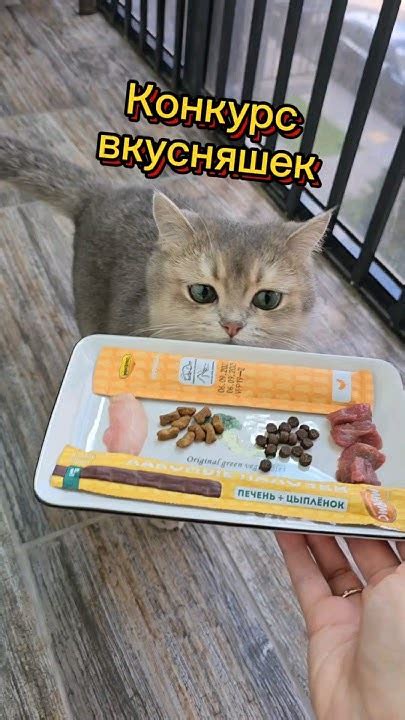 Кот выбирает еду! #cats - YouTube