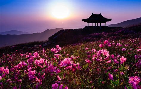 South Korean Landscape Wallpapers - 4k, HD South Korean Landscape ...