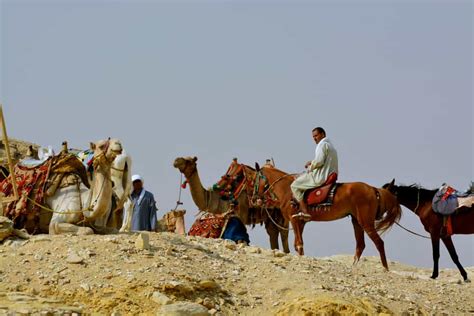 Icymi Viking Highlighted Egypt Offerings Chris Cruises