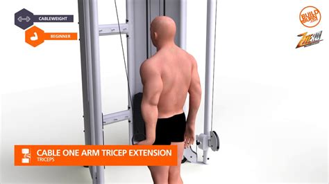 Triceps Cable One Arm Tricep Extension Youtube