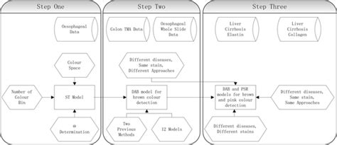 Statistical Test Flow Chart