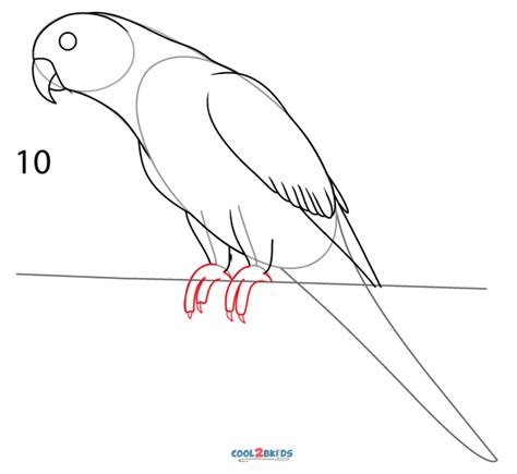 How To Draw a Parrot (Step by Step Pictures)