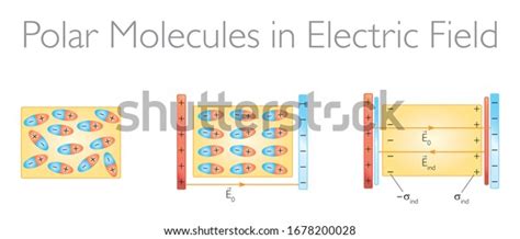 1,491 Polar Molecules Images, Stock Photos & Vectors | Shutterstock