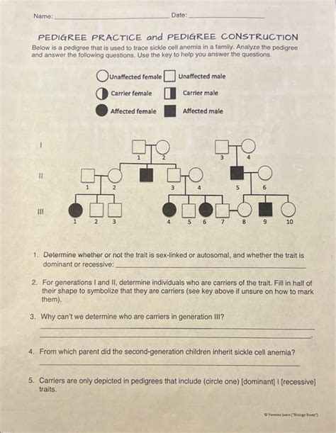 Solved PEDIGREE PRACTICE And PEDIGREE CONSTRUCTION Below Is