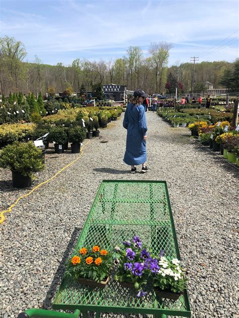 Somerset Nursery Glenmoore Pa Nextdoor