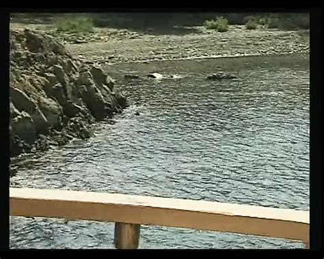 Jeanny Bee Porn Videos Porn Star Sex Scenes Xhamster