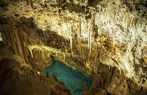 Desde Alc Dia Excursi N De Medio D A A Dinosaurland Y Las Cuevas Dels