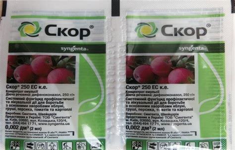 Фунгицид СКОР: инструкция по применению, спектр действия, дозировка и ...