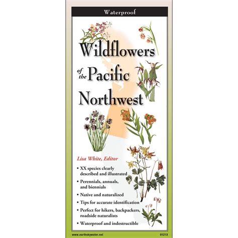 Outdoors, Camping & Travel :: All Outdoors Books :: Plant & Flower ...