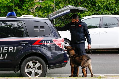 Monza Bottega Della Spaccio Nel Bosco Pusher In Fuga Bloccato Dal